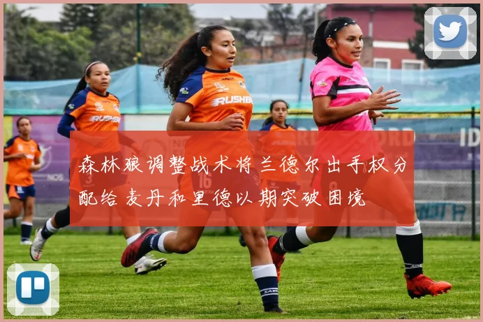森林狼调整战术将兰德尔出手权分配给麦丹和里德以期突破困境